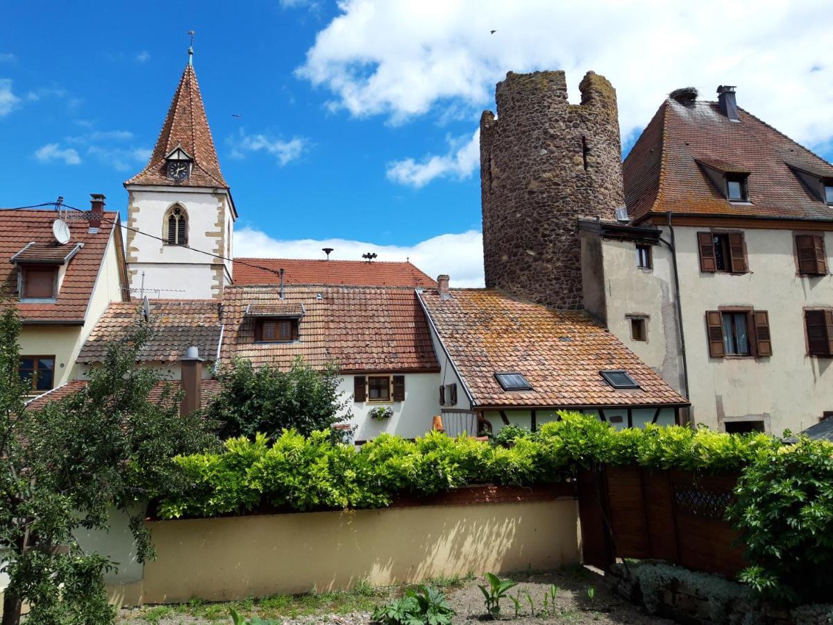 Апартаменты "La Vigne Dort" Cocon Romantique Herrlisheim-pres-Colmar Экстерьер фото